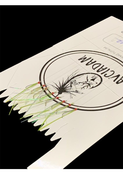 Istavrit Çaparisi Yeşil Tekne 8li