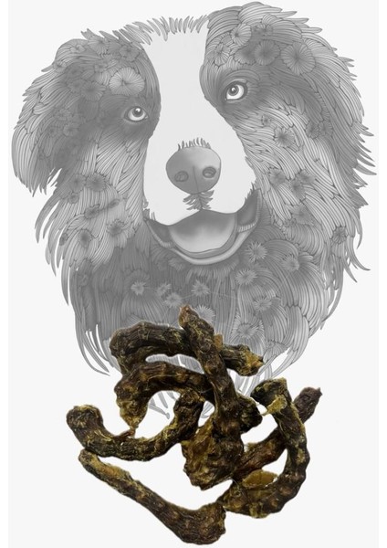 Chicken Neck 100 Gr. -Kurutulmuş Tavuk Ayak 100 Gr.