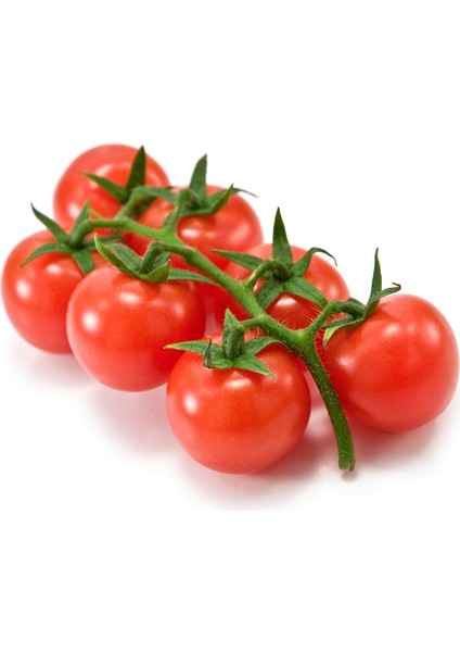 KOKTEYL ( ÇERİ) DOMATES fiyatları