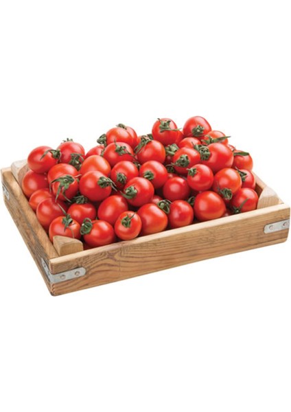 KOKTEYL ( ÇERİ) DOMATES modelleri