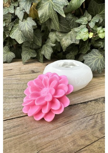 Concept Zambak Mum Kalıbı (Silikon)