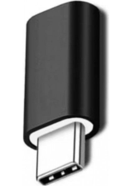 ZR350 FT-ADA23 Lightning To Type-C Çevirici Mini Adaptör