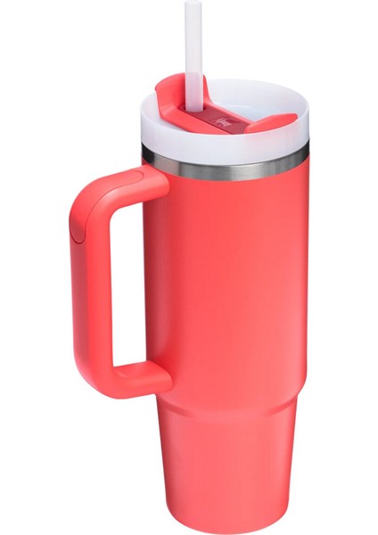 Termos, Bedensiz, Mercan fırsatları