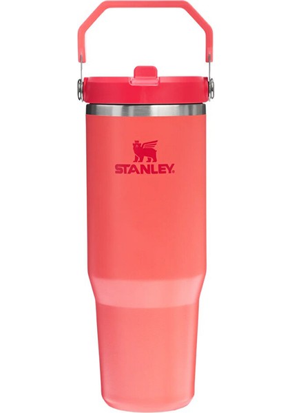 The Iceflow™ Flip Straw 2.0 Tumbler 0.89L / 30OZ fırsatları