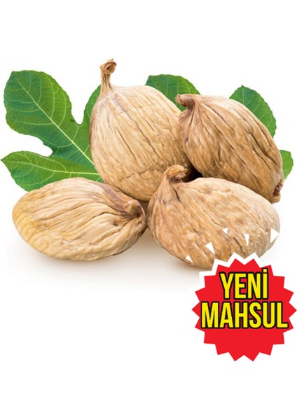 Kuru Incir 500 gr fiyatları