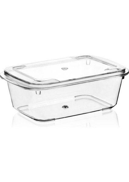 MAY-224 250 cc Flora Kapaklı Kutu 500'LÜ