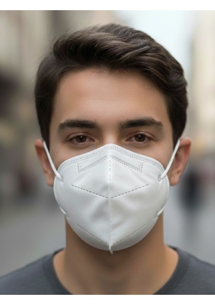 Fffp2 Nr N95 Maske fiyatları