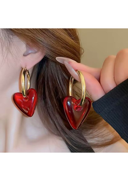 Çelik Heart Küpe fiyatları