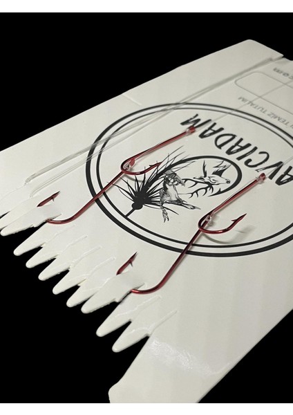 Çinekop Takımı Hırsızlı Kırmızı Iğneli (1)