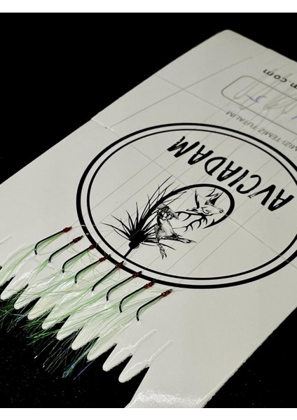 Istavrit Çapari Acık Yeşil (Kıyı)