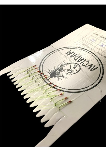 Istavrit Çaparisi Yeşil Kıyı 12LI