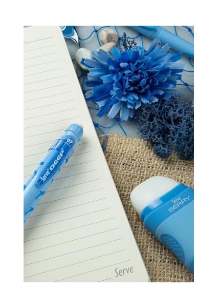 Defter 15 x 21 Cızgılı Desenli Gok Mavı fiyatları