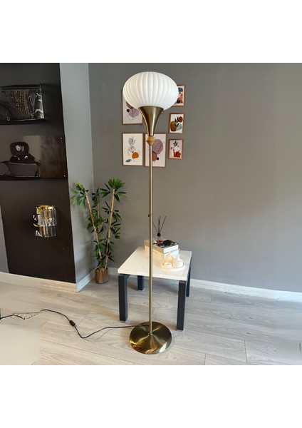 Beyaz Cam Q Lambader Modern Dekoratif Metal Oturma Odası Çalışma Odası Zemin Lambası