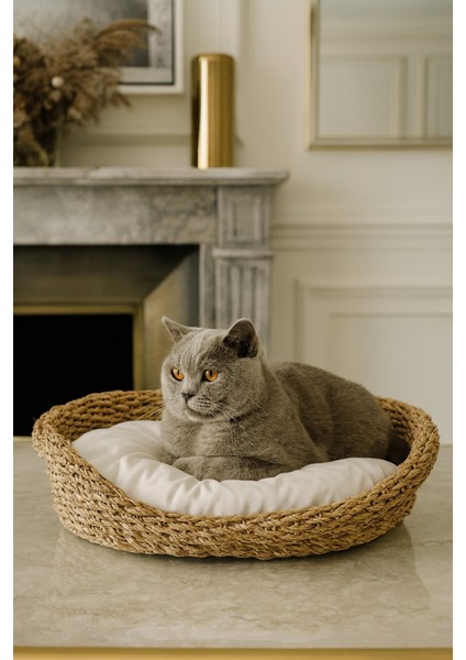 Dekoratif Hasır Kedi Köpek Yatağı Sepet 53CMX40CMX14CM