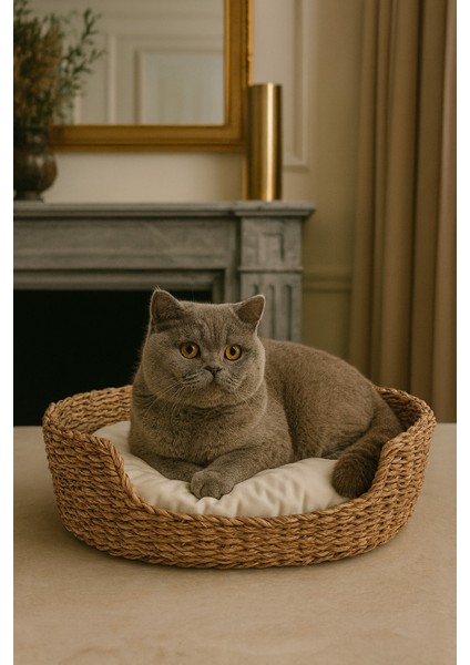 Dekoratif Hasır Kedi Köpek Yatağı Sepet 50CMX40CMX20CM