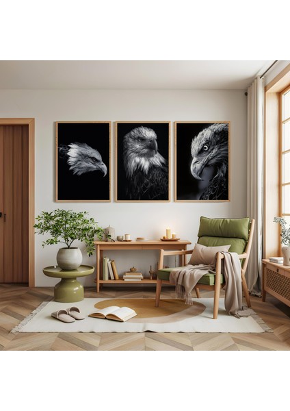 Ahşap Çerçeveli Kel Kartal Üçlü Ahşap Tablo Seti modelleri