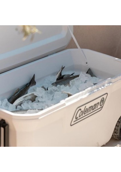 Soğutucu Buzluk - Coleman - Xtreme Wheeled 100 Qt Tekerlekli - 94.6 Lt - Beyaz