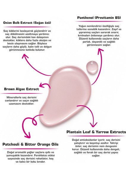 Kırmızı Soğan Özlü Saç Dökülme ve Kepek Karşıtı Şampuan - 400 ml | Saç Uzamasını Destekler modelleri