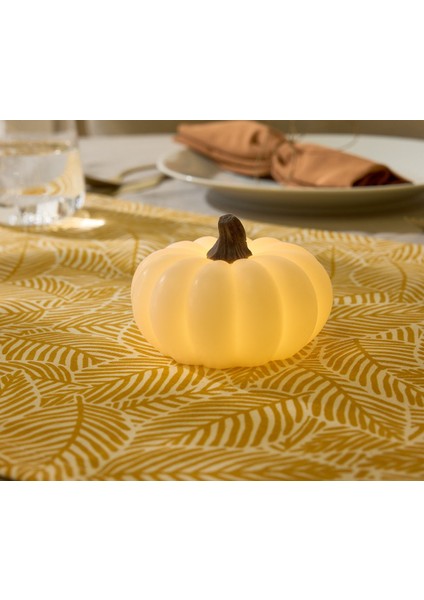 LED Gerçek Mum, Balkabağı