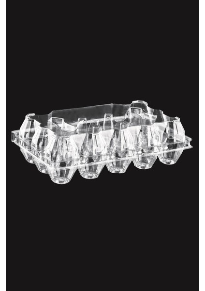 15 Bölmeli Yumurta Viyolü 100'LÜ