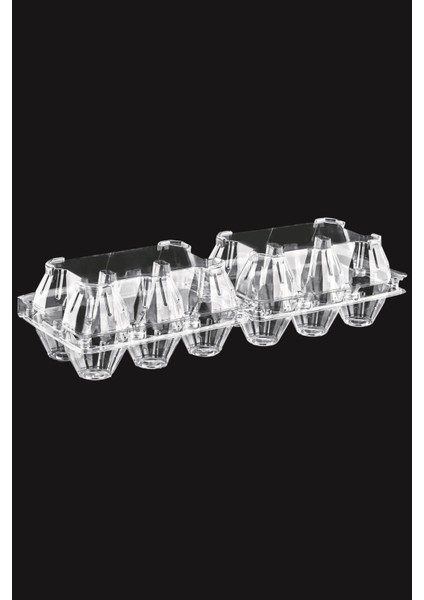 6x2 Bölmeli Yumurta Viyolü 100'LÜ