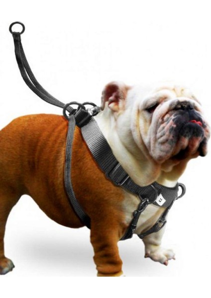 Sepetim Karlıe Easy Walker Göğüs Tasma 52*84 cm Xlarge