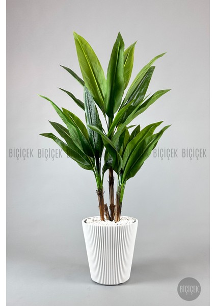 Starliçe Ağacı 150 cm Luna Saksıda modelleri