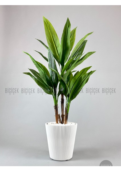 Starliçe Ağacı 150 cm Luna Saksıda