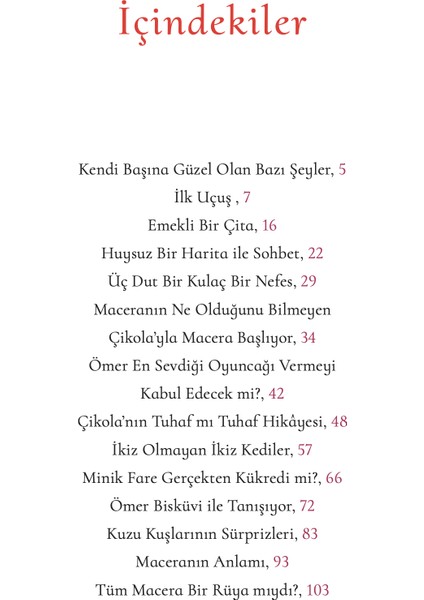 Son Oyuncak Mağarası - Aykut Ertuğrul modelleri