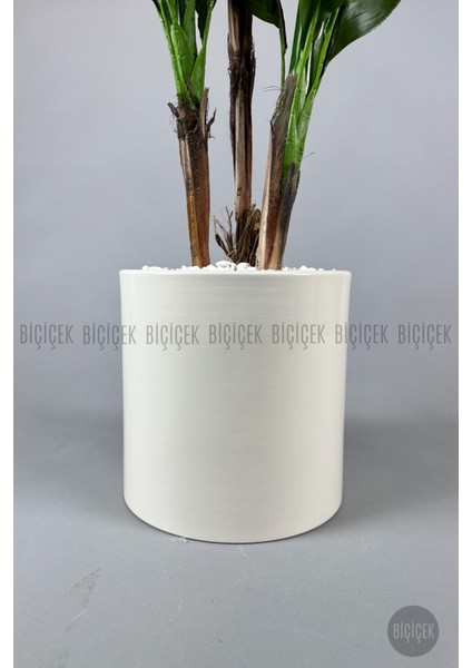 Starliçe Ağacı 150-175 cm Metak Saksıda fiyatları