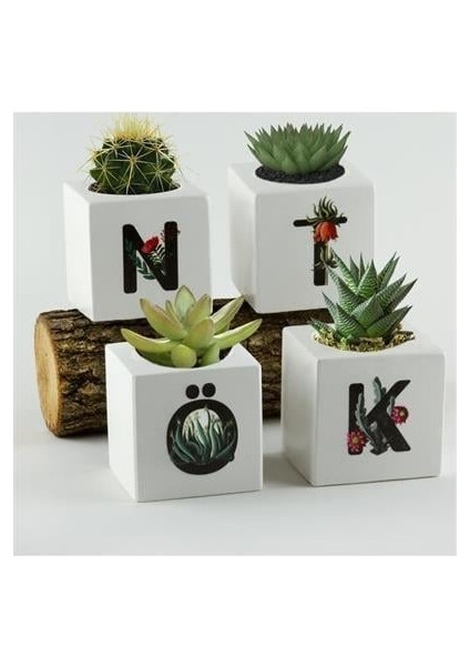 Sepetim Harf Figürlü Kaktüs Sukulent Saksısı-C fırsatları
