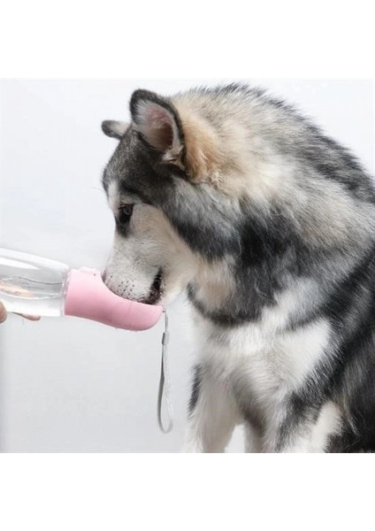 Taşınabilir Evcil Hayvan Suluğu Seyahat Kabı Kilitlenebilen Su Sızdırmaz Kap 350 ml fırsatları