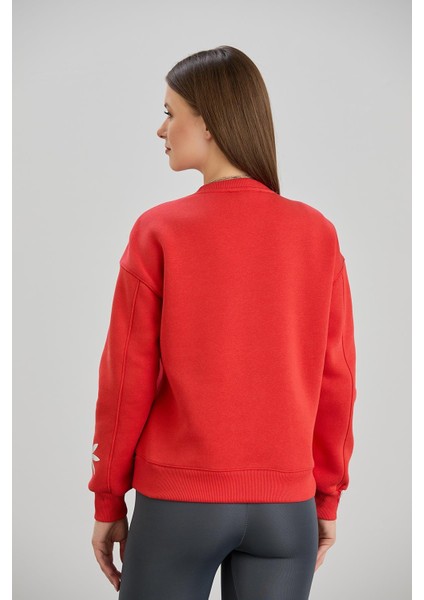 Varak Baskılı Bisiklet Yaka Üç Iplik Sweatshirt Nar fırsatları