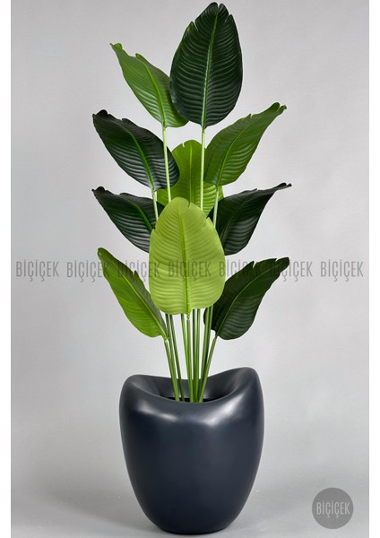 Yapay Muz Ağacı 175 cm Dino Saksı