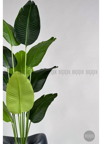 Yapay Muz Ağacı 175 cm Dino Saksı fırsatları