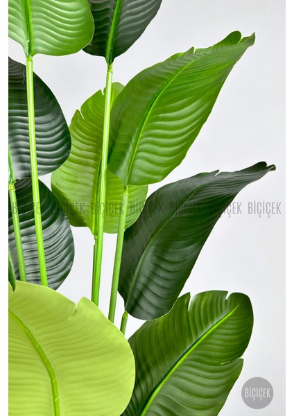 Yapay Muz Ağacı 175 cm Dino Saksı