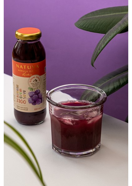 %100 Kokulu Üzüm Suyu Minikler 250 ml fırsatları