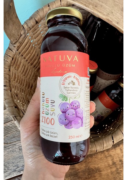 %100 Kokulu Üzüm Suyu Minikler 250 ml indirimleri