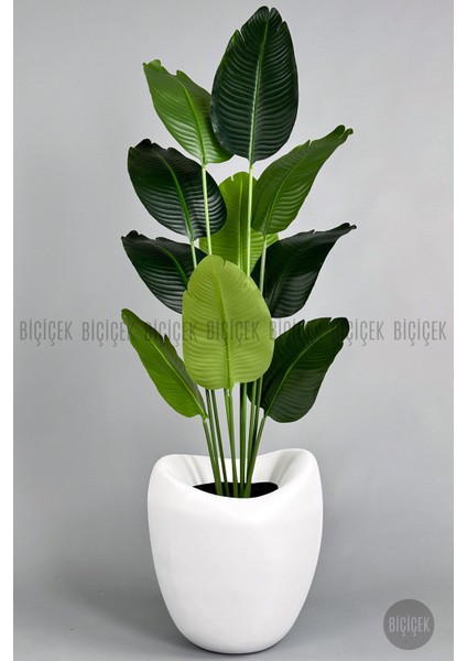 Yapay Muz Ağacı 175 cm Dino Saksı