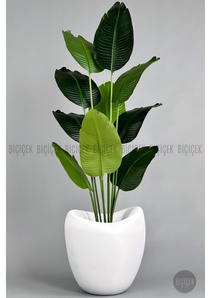 Yapay Muz Ağacı 175 cm Dino Saksı fırsatları