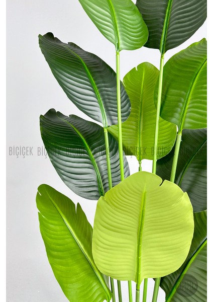 Yapay Muz Ağacı 175 cm Dino Saksı