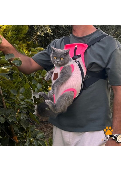 Kedi Köpek Ana Kucağı modelleri