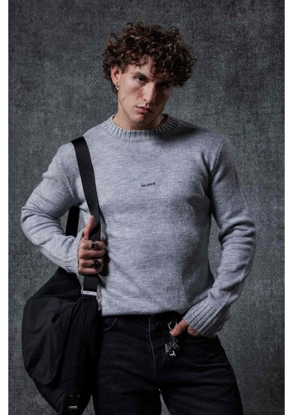 Erkek Regular Fit Bisiklet Yaka Kazak Gri fiyatları