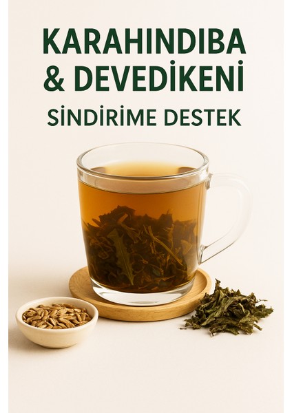 Karahindiba & Devedikeni Çayı - Doğal Bitkisel Destek Sindirim Dostu 2X50 modelleri