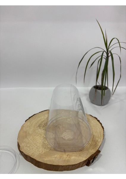 Silindir Asetat Kutu Çap 9 cm Yükseklik 15 cm [20 Adet] fiyatları