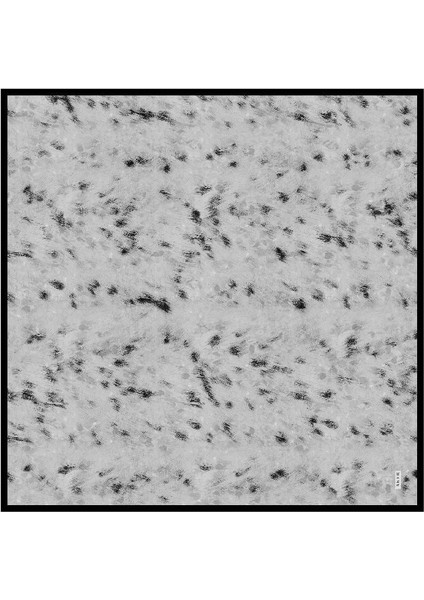 Tivil Ipek Eşarp 9051713-914