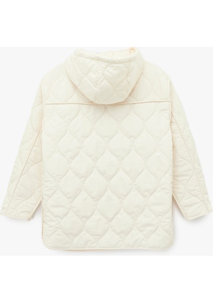 Uzun Kollu Cepli Fermuarlı Kapüşonlu Kapitone Mont fiyatları