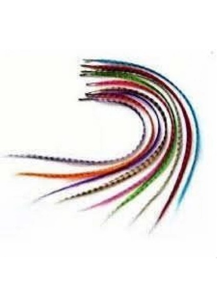 Hair Feather Tüyü Asorti modelleri