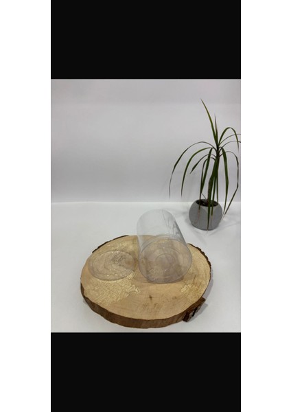 Silindir Asetat Kutu Çap 9 cm Yükseklik 9 cm [20 Adet] fiyatları