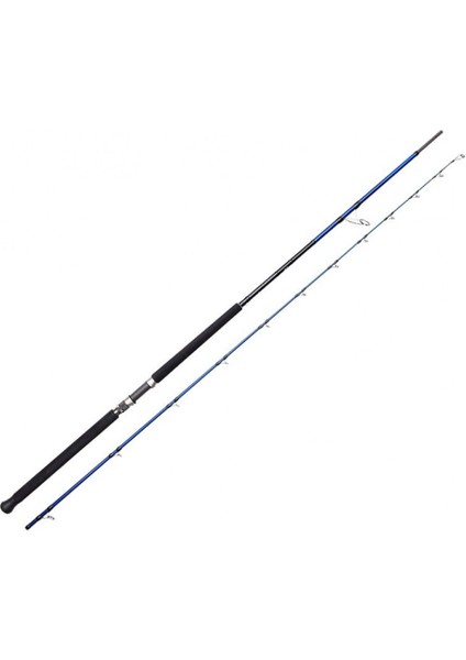 Rısco 3,05MT 30-100GR Shore Jıggıng Olta Kamışı